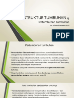 Struktur Tumbuhan 4