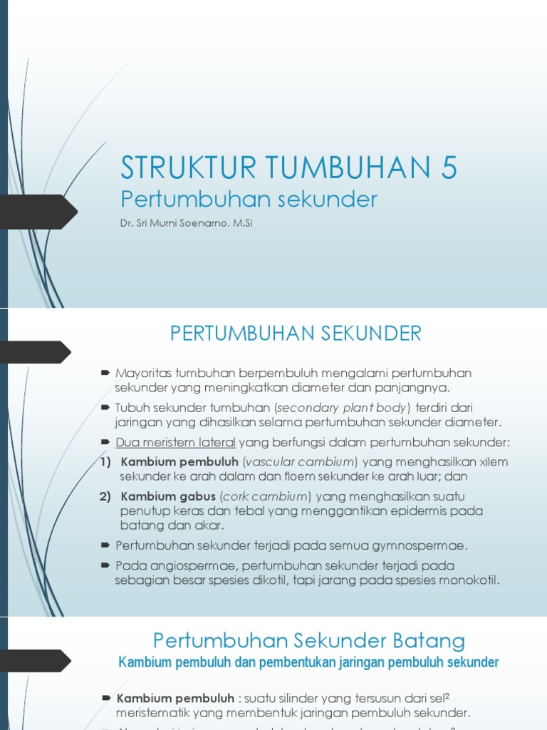 Struktur Tumbuhan 5 | PDF