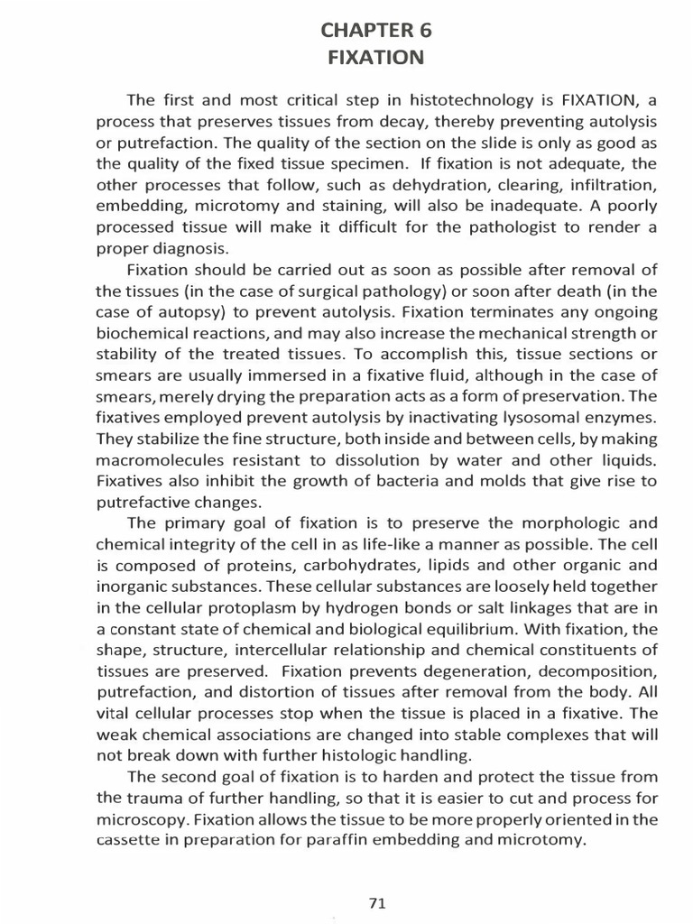 Chapter 6 Fixation PDF Fixation (Histology) Histology