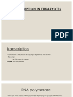 Transcription in Eukaryotes