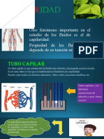 CAPILARIDAD NENA