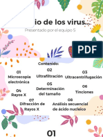 Estudio de Los Virus