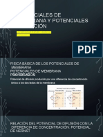 3 - Potencial de Membrana y Potencial de Acción