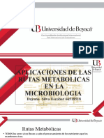 APLICACIONES RUTAS METABOLICAS Unico