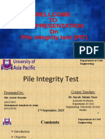 Pile Intregity Test