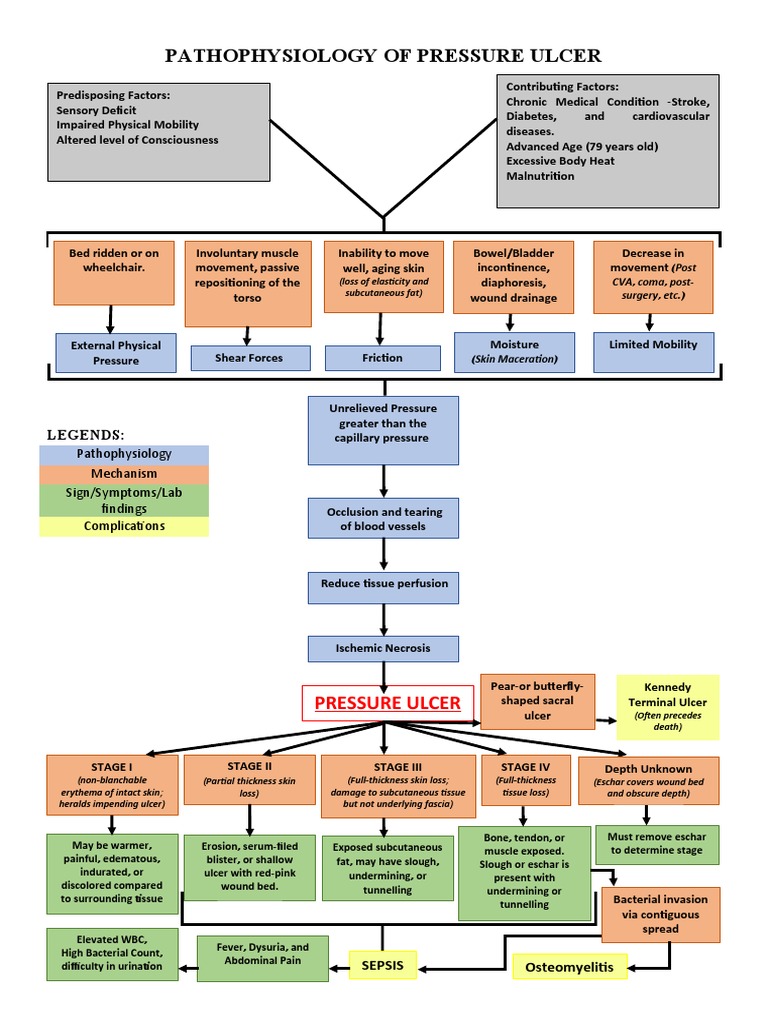 PATHOPHYSIOLOGY OF PRESSURE ULCERS PDF Clinical Medicine Medical