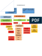 Pathophysiology Thalassemia