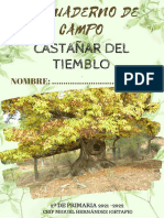 Cuaderno de Campo 2º - 2