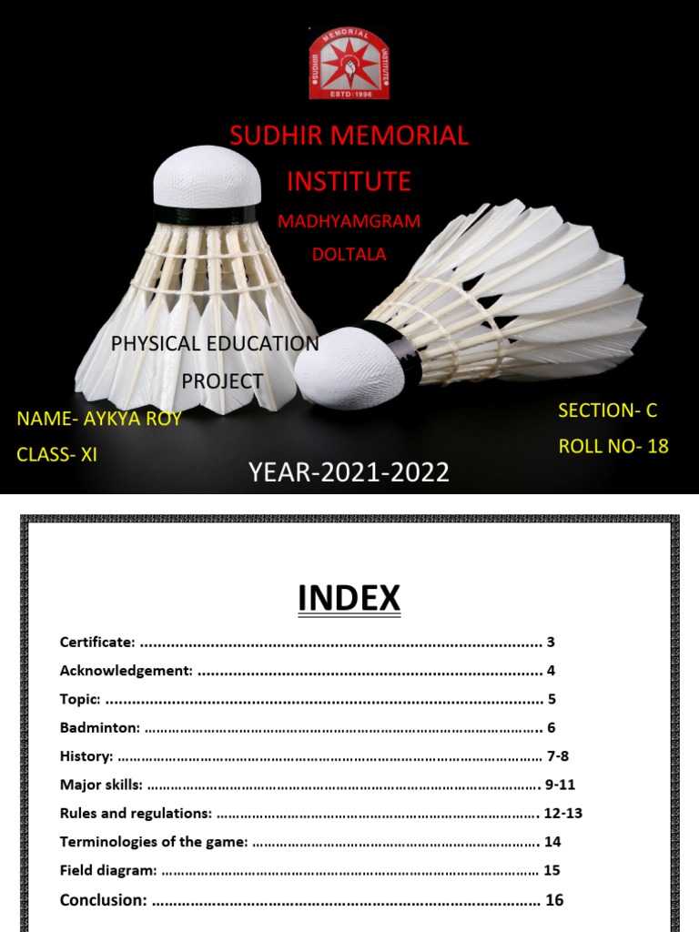 An InDepth Look at the Game of Badminton Its History, Rules, Skills