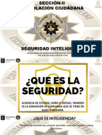 Seguridad Inteligente