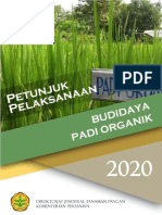 Budidaya Padi Organik 2020