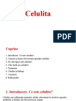 Celulita Grupa 4 (3006)