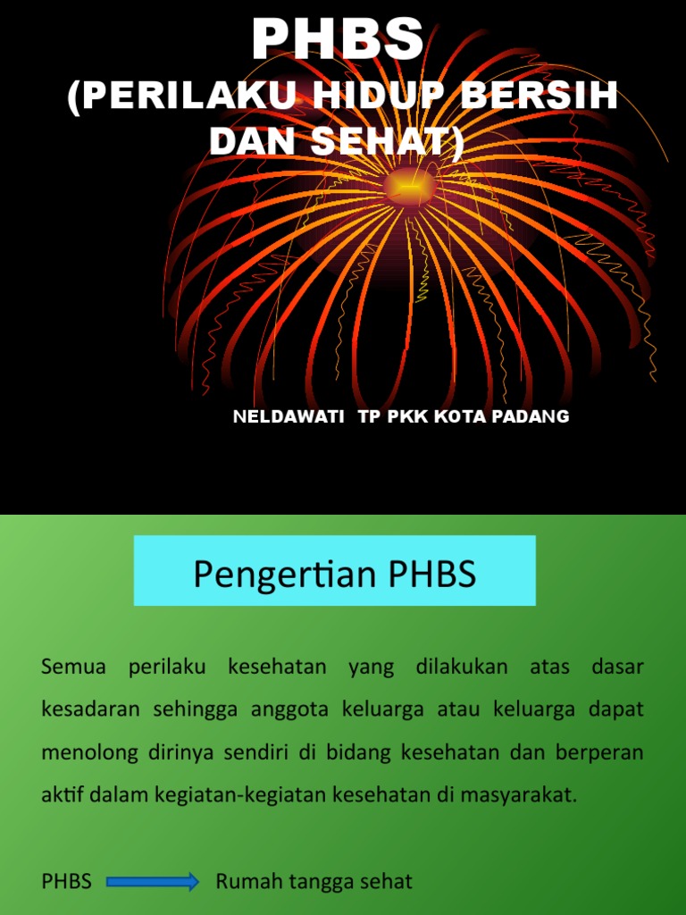 Materi Phbs Pdf