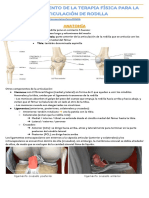 Terapia Física para La Articulación de La Rodilla