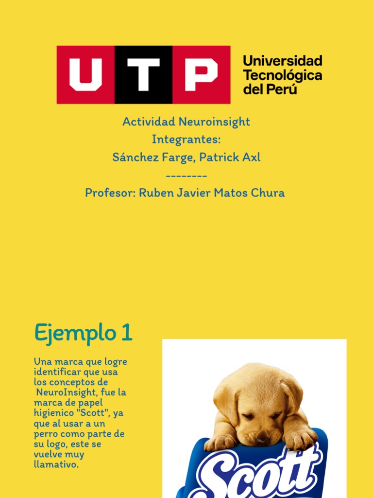 Neuro Insight | PDF