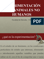 Experimentación animal ética