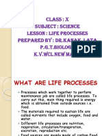 Life Processes X