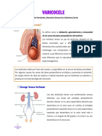 Clase 27 - Varicocele