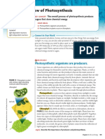 Overview of Photosynthesis: Photosynthetic Organisms Are Producers