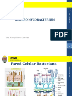 Genero Mycobacterium Bacteriologia 2014