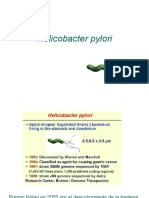 Helicobacter Bac
