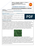 Informe Botanica #9