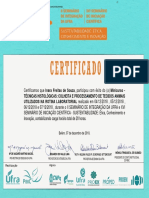 Certificado 16pibicbelemufra Minicurso 09-26-43