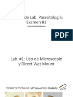 Repaso de Lab. Parasitología (Examen #1)