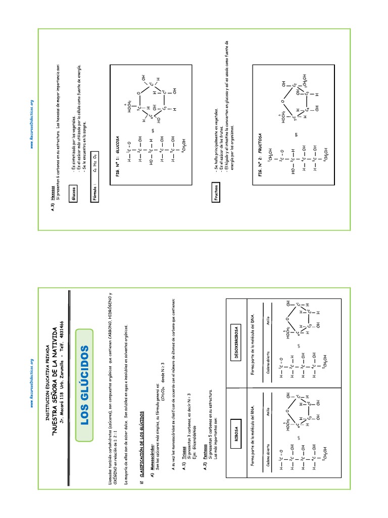 Analysis of the structure and function of an unknown organic molecule pdf