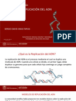 Replicación Del Adn