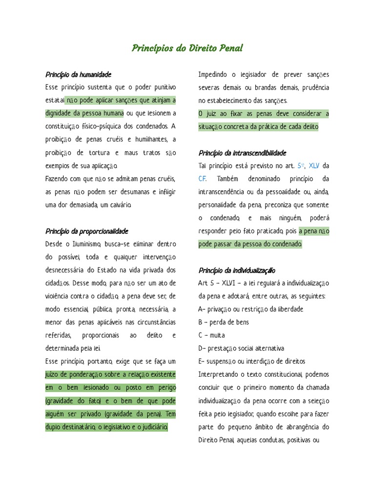 Princípios Do Direito Penal Pdf Direito Penal Crime E Violência