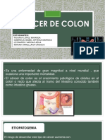 Diapositivas Cáncer de Colon