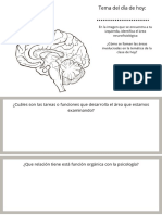 Hoja de Llenado Neurofisiológico