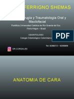 Anatomia 20222