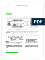 Exposición 2 de Biología