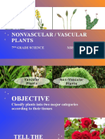 Nonvascular / Vascular Plants: 7 Grade Science Mrs. Erazo