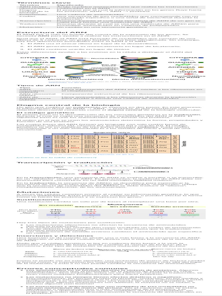 Khan Academy PDF Rna Adn