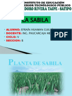 La Sabila