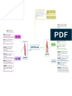 Segmentación Pulmonar