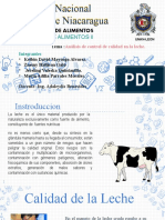 Presentacion Analisis de La Leche