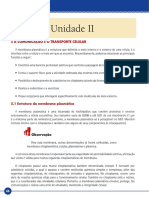 Comunicação e transporte celular