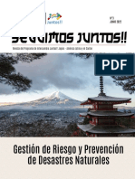 Revista Seguimos Juntos 3 FLACSO