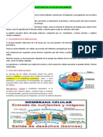 Estructura de La Celula Eucariota