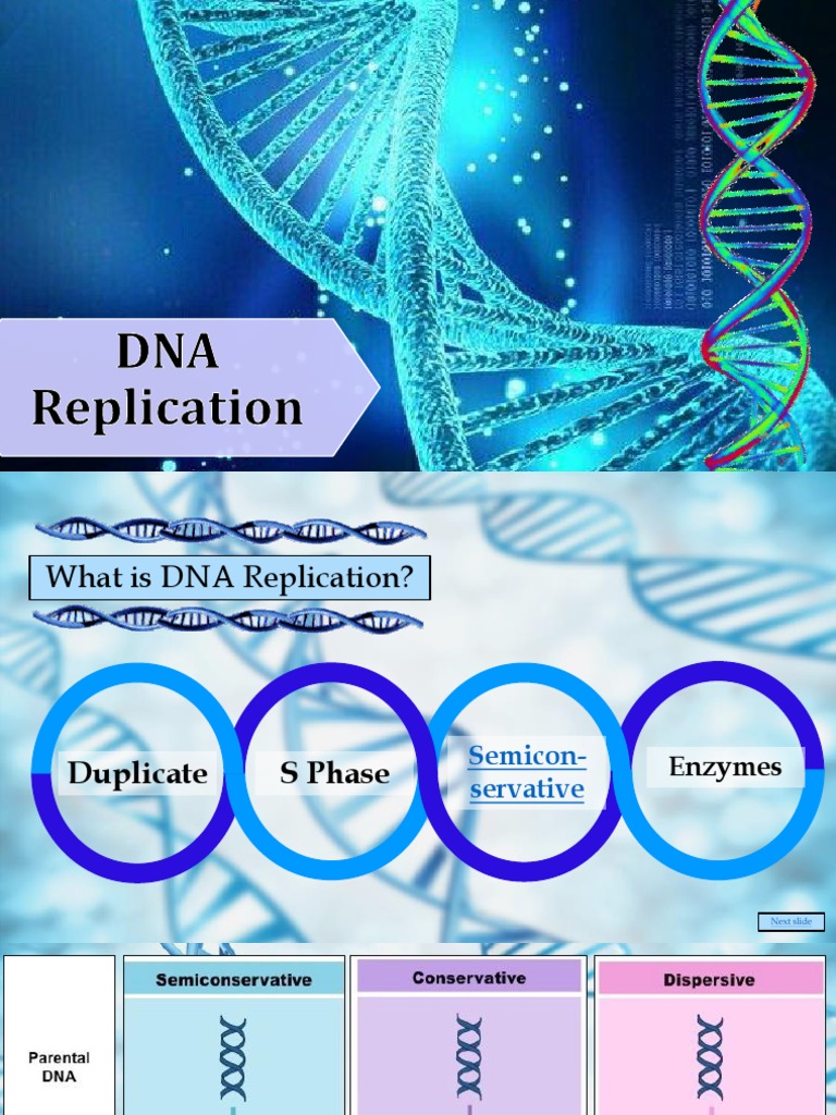 Curated visual reference: Official Dna Documents Reference: Dna Replication Process Explained