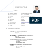 Curriculum Vitae PDF