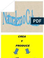 Naturaleza o Cultura: Tensiones en La Transmision de Cultura