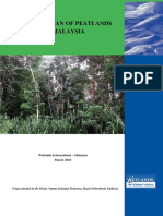 Thesis Peatlands