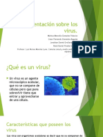Presentación Sobre Los Virus. Septimo Grado