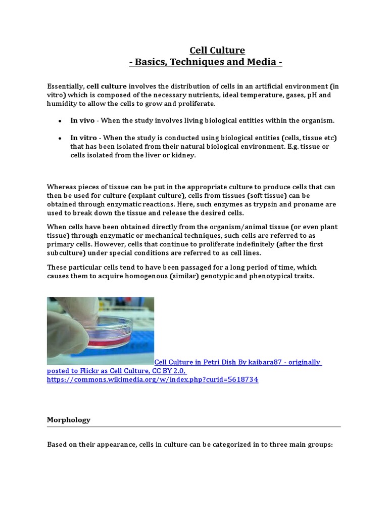 Cell Culture Basics, Techniques and Media PDF Growth Medium