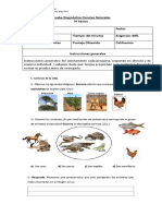 Diagnóstico 3º A - Ciencias